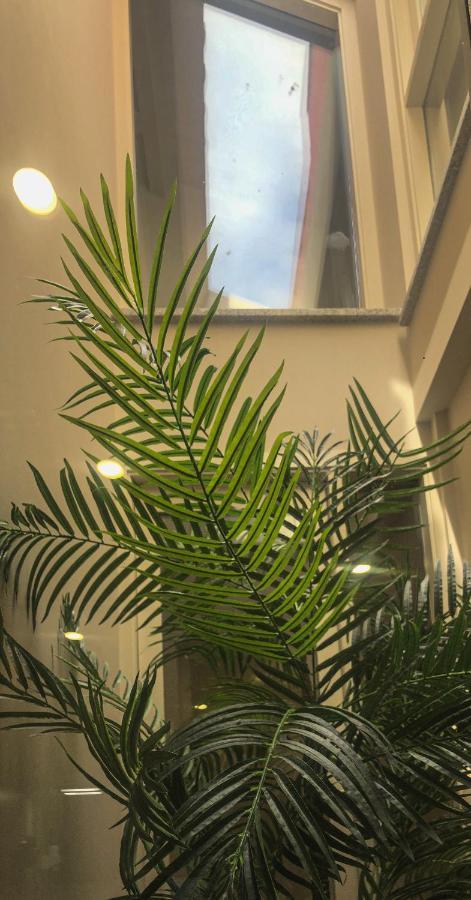 Rua Grande Hotel Viana do Castelo Ngoại thất bức ảnh